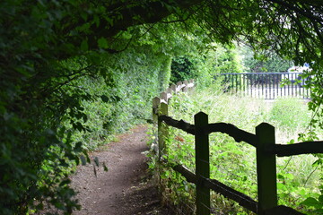 Fence-Path