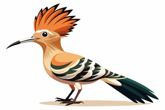 recommend clip art: The hoopoe vector arts illustration
