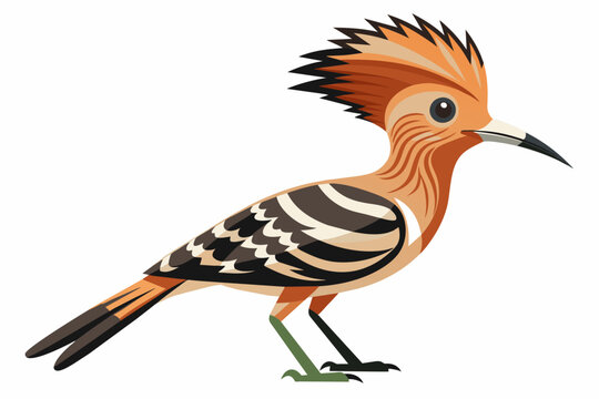 recommend clip art: The hoopoe vector arts illustration