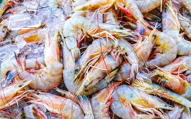 Shrimps on the market texture pattern in Puerto Escondido Mexico.