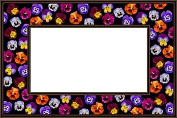 Zelfklevend Fotobehang frame with colourful pansies close-up on black background © tillottama