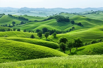 Fototapeta premium An Expansive green rolling hills of lush farmland