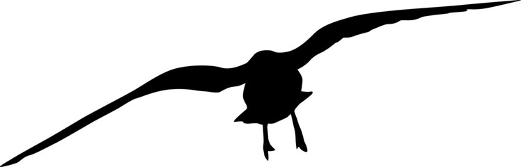 Silhouette on a white background of a sea gull