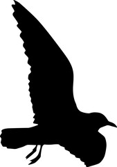 Silhouette on a white background of a sea gull