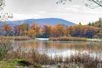 fall landscape