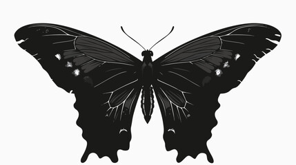 Vector silhouette elegant butterfly isolated on white