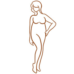 Fototapeta premium Woman's Apple Body Shape Line Art, Woman's body line art illustration on transparent background