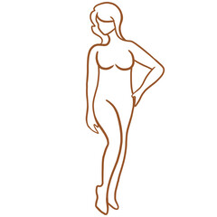 Woman's Rectangular Body Shape Line Art, , Woman's body line art illustration on transparent background