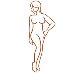 Fototapeta premium Woman's Inverted Triangle Body Shape Line Art, female body line art illustration on transparent background