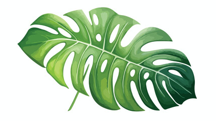 Watercolor Monstera Plant Flat vector isolated on white
