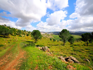 Israeli landscape on the border with Hebron