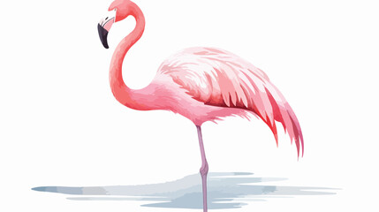 Watercolor Pink Flamingo Flat vector isolated on white