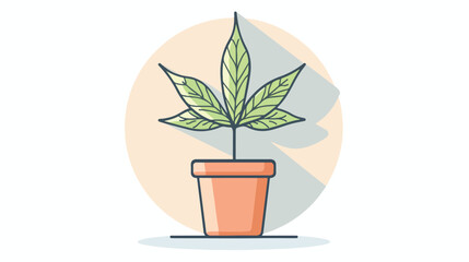 Fototapeta na wymiar White line Medical marijuana or cannabis plant in pot