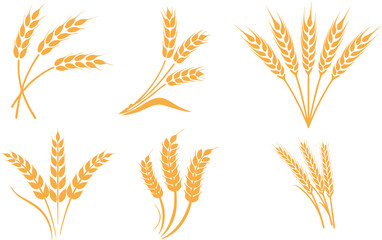 Ears of Wheat, Barley or Rye in golden color. High resolution icons, ideal for bread packaging, beer labels, poster, banner or flyer. Gluten free, allergy free.
