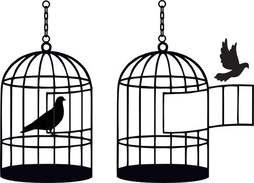 Bird flying from open birdcage and in cage. Symbol of freedom. Message to let birds free in natural atmosphere. Freedom movement concept. Birds breeding and feed theme poster and banner idea.
