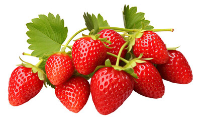 Ripe delicious strawberries bush, cut out