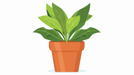 Ornamental plant flat icon in pot. isolated on a white