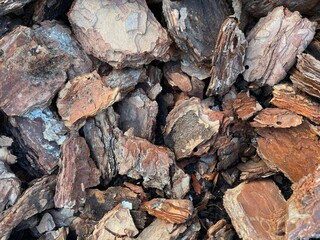 pile of firewood