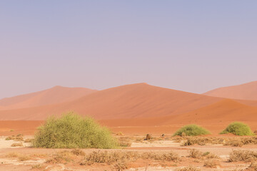 Impression of the massive sanddunes that comprise the Sossusvlei of western Namibia