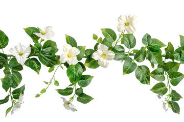 A white flowery vine with green leaves,isolated on white background or transparent background. png...