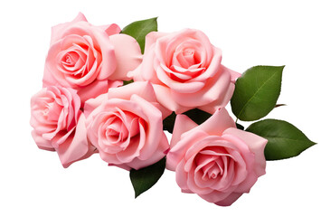 Five beautiful pink roses in full bloom, with soft petals and green leaves, cut out