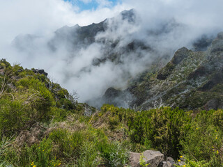 View over green mountains covered with heather, flowers and white dry trees in misty clouds. Hiking trail PR1.2 from Achada do Teixeira to Pico Ruivo, the highest peak in the Madeira, Portugal - 766494346