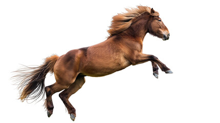 Obraz na płótnie Canvas Beautiful horse is leaping into the air isolated on white or transparent background, png clipart, design element. Easy to place on any other background.
