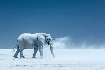 Fotobehang White elephant walking on white sands under a clear blue sky, solitary large mammal in nature, copy space © John