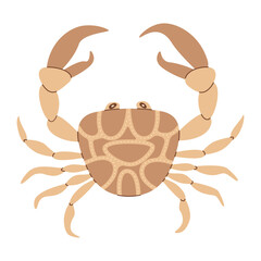 Crab. Cute and beautiful sea animals. Hand drawn flat style crab isolated on white. Trendy flat vector illustration