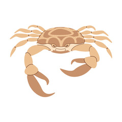 Crab. Cute and beautiful sea animals. Hand drawn flat style crab isolated on white. Trendy flat vector illustration