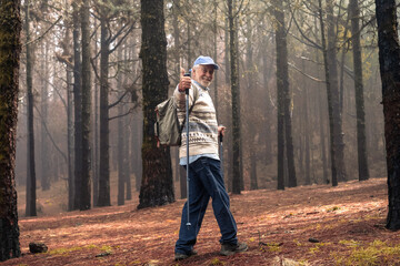 Fototapeta premium Active happy senior man with backpack walking in mountain forest on a foggy day with the help of poles enjoying nature, freedom and free time. Forest background with bare trees