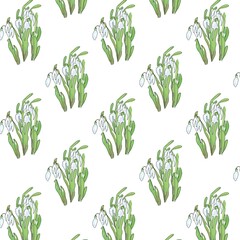 Beautiful snowdrops pattern, gentle spring illustration