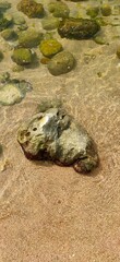 The crystal clear water of the Red Sea is visible from above, and you can see small rocks in it. The stones have green moss on them. There's sand under their feet