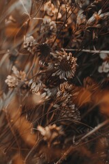 Close up of a beautiful bunch of flowers, perfect for various design projects