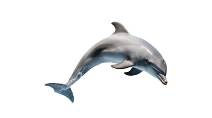 A majestic dolphin leaps high into the air, mouth open in a display of exhilarating energy and freedom