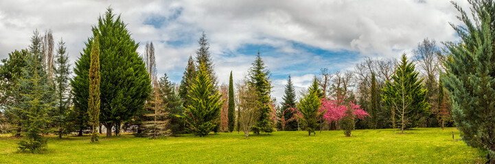 Panoramic view of a variety of trees growing in a park in spring in the Dordogne region of France