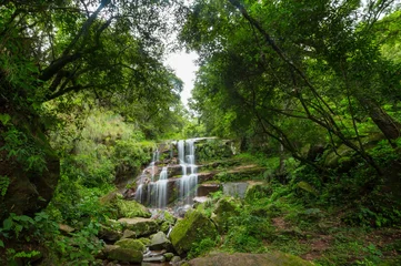 Fototapeten Waterfall in jungle © Galyna Andrushko