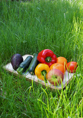 corbeille ou plateau de fruits et légumes dans l'herbe