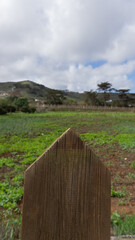 Rustic Fence Amidst Verdant Fields
