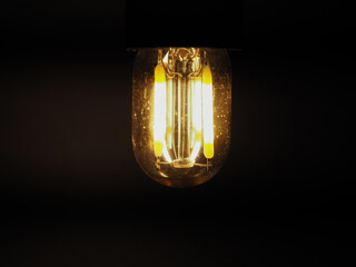 LED filament light bulb