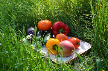corbeille ou plateau de fruits et légumes dans l'herbe