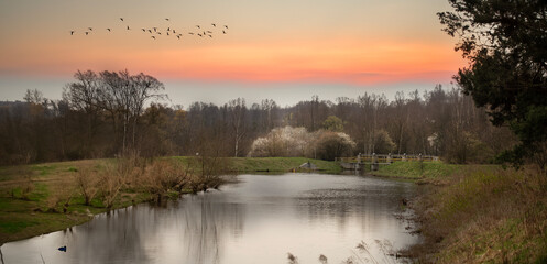 krajobraz rzeki o wschodzie słońca z lecącymi ptakami wiosenny - obrazy, fototapety, plakaty