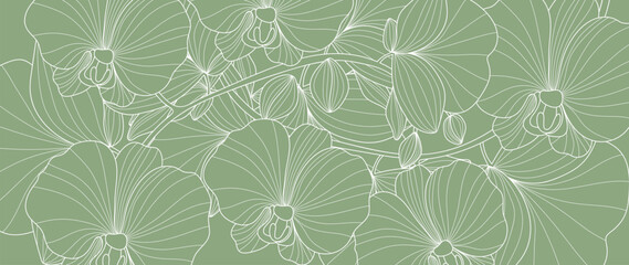 Botanical line art background vector. Natural botanical elegant orchid with white line art on green background. Design illustration for decoration, wall decor, wallpaper, cover, banner, card.