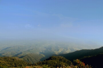 landscape in the morning