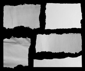 Five pieces of torn newspaper on black background