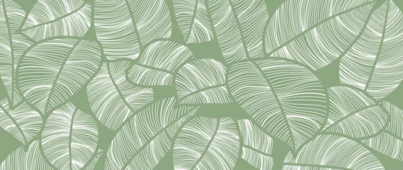 Fotobehang Abstract foliage line art vector background. Leaf wallpaper of tropical leaves, leaf branch, plants in hand drawn pattern. Botanical jungle illustrated for banner, prints, decoration, fabric. © TWINS DESIGN STUDIO