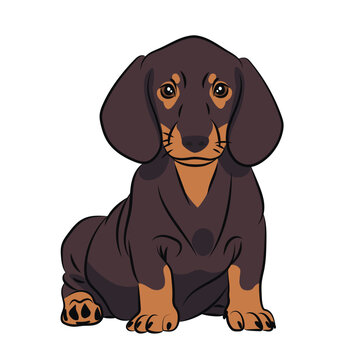 Dog Black orange Dachshund. Abstract, Line and Shadow, Silhouettes, Realistic, Illustration. Chinese Calendar 1958, 1970, 1982, 1994, 2006, 2018, 2030, 2042, 2054, 2066 years.