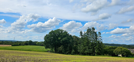 beautiful landscape with green field and clouds on sky.