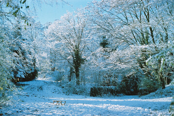 Zdjęcie analogowe sanek zimą