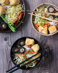 Oriental Soup Noodles